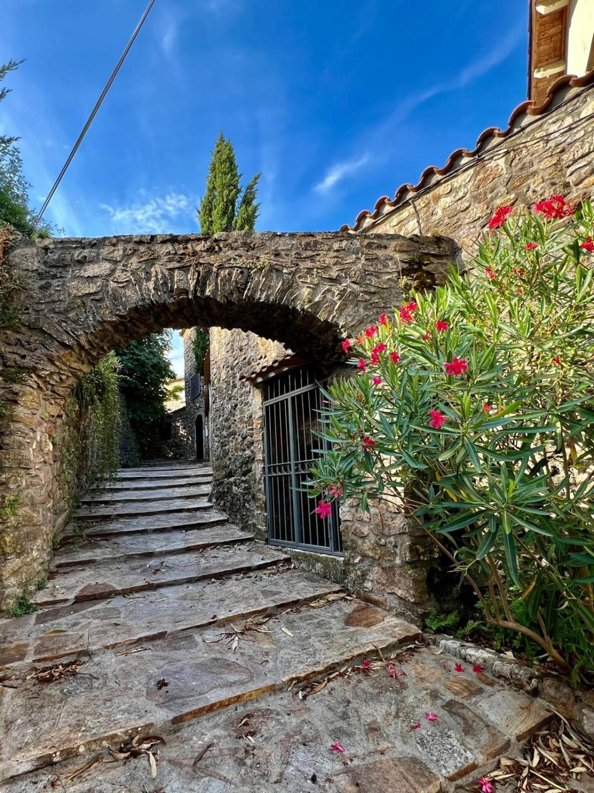 Hotel Moulin Gaillard Bédarieux Esterno foto
