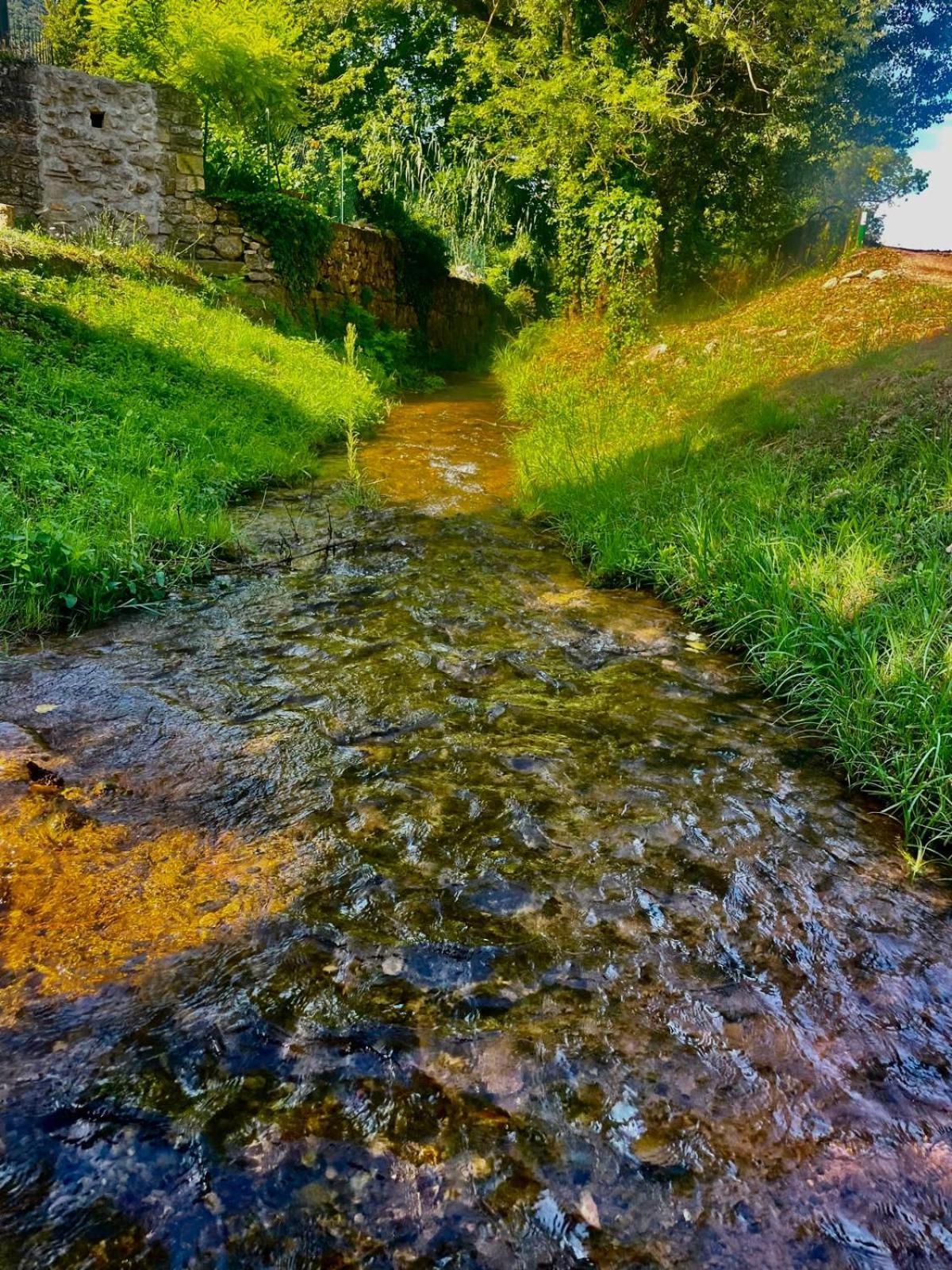 Hotel Moulin Gaillard Bédarieux Esterno foto